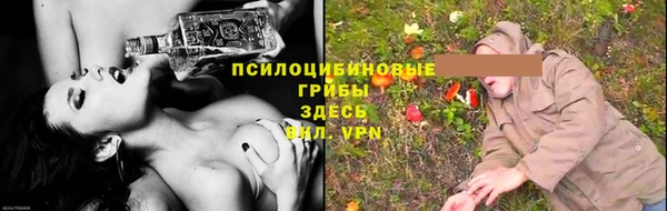 мдпв Навашино