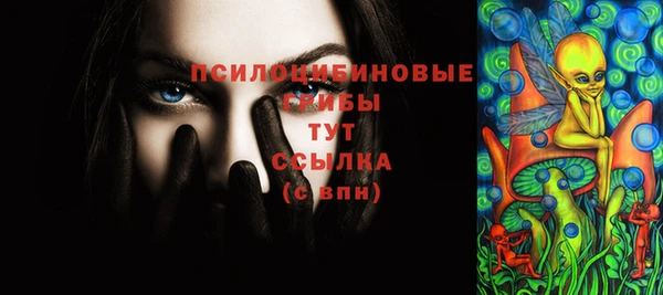 мдпв Навашино