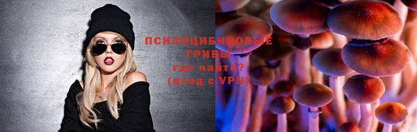 мдпв Навашино