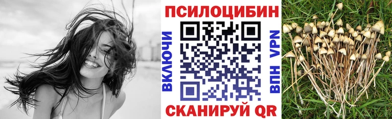 Купить где  Жигулёвск  Псилоцибиновые грибы Magic Shrooms 
